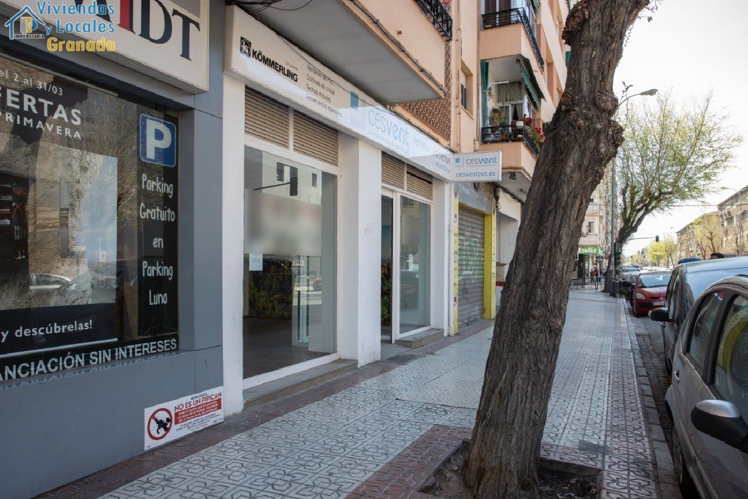  till salu lokal Ronda Vega De Granada 8