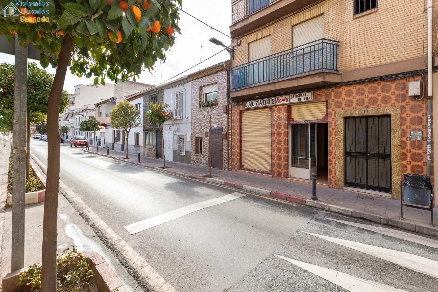 till salu lokal Santa Juliana Vega De Granada 2