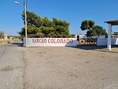 Son Verí Nou Llucmajor lokal foto 6227495