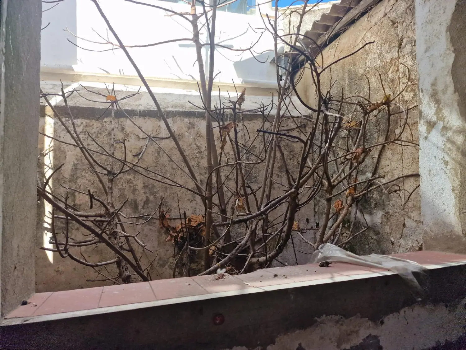 till salu lokal Las Veguetas Bahía De Cádiz 2