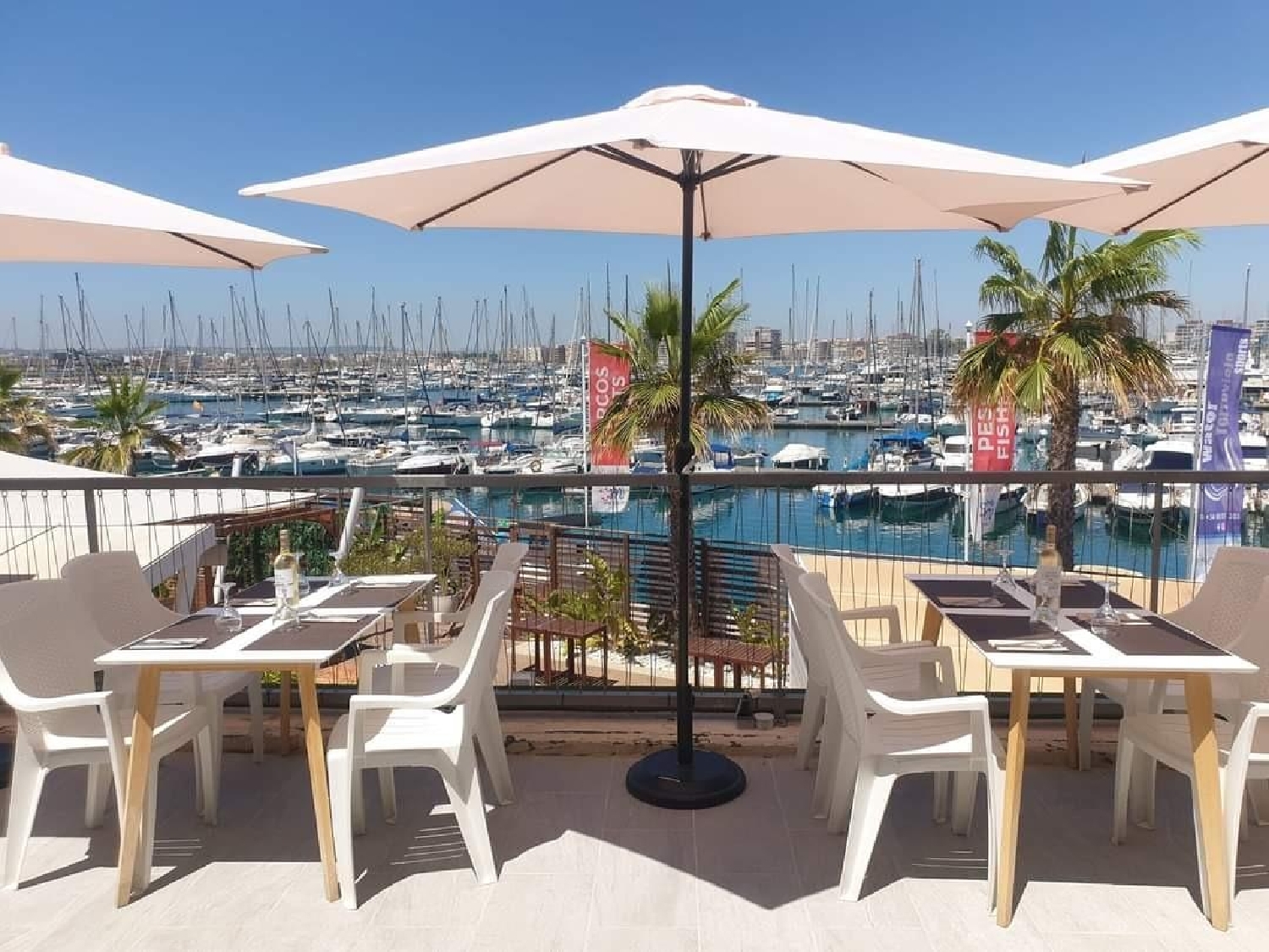  till salu lokal Torrevieja Baix Segura 1