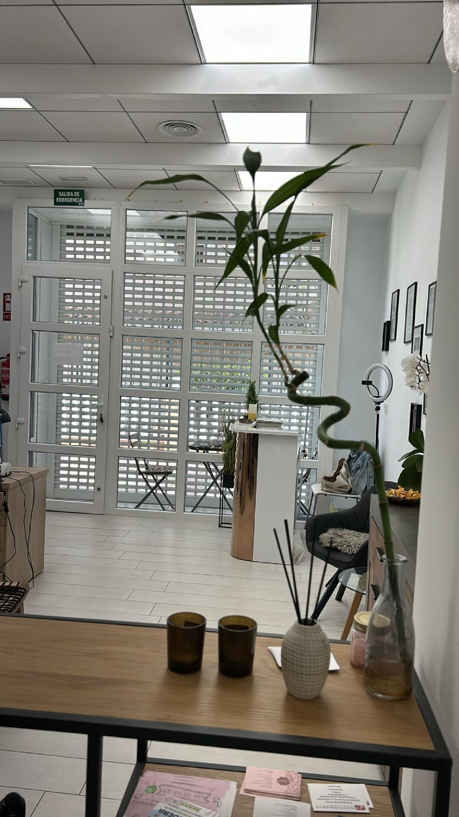 till salu lokal Torrevieja Baix Segura 2