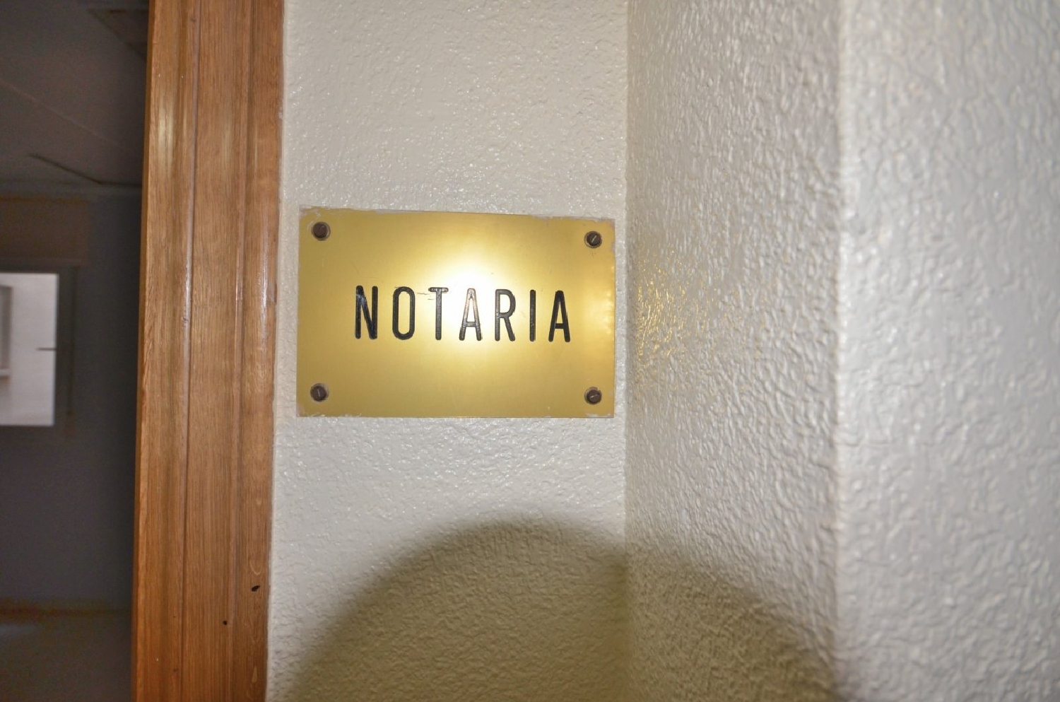  till salu lokal Torrevieja Baix Segura 5