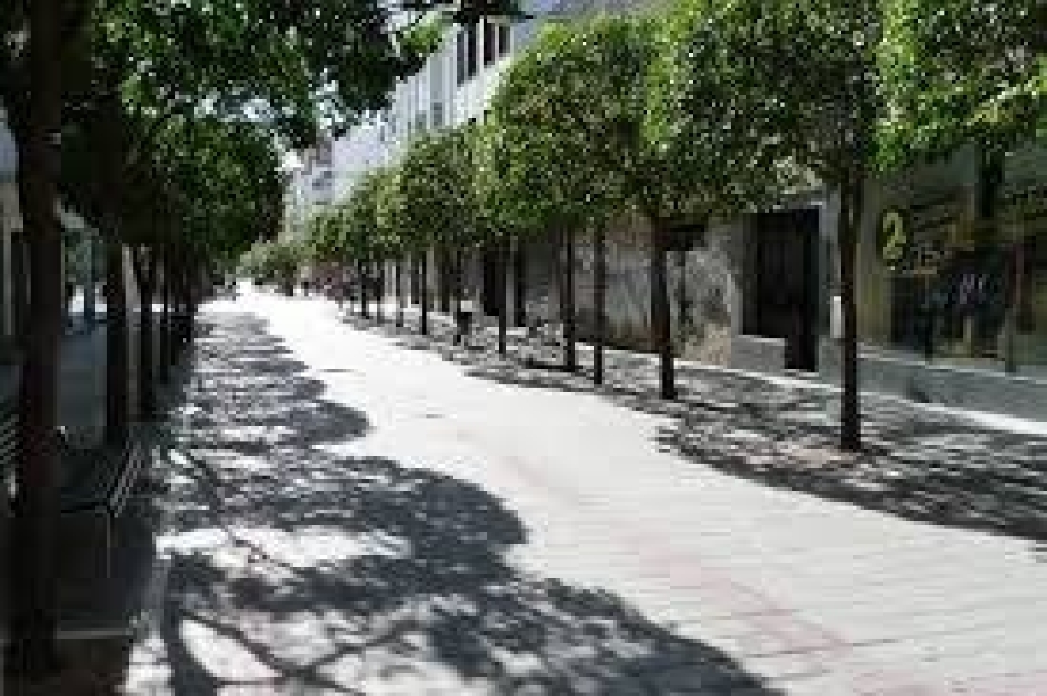till salu lokal Ubrique Sierra De Cádiz 2