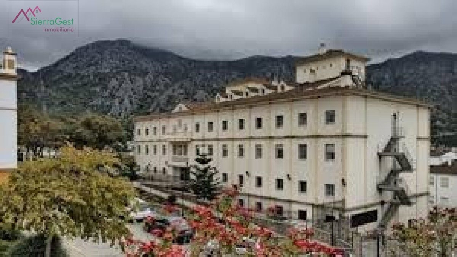  till salu lokal Ubrique Sierra De Cádiz 1