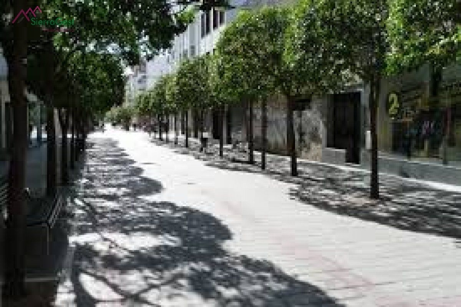  till salu lokal Ubrique Sierra De Cádiz 1