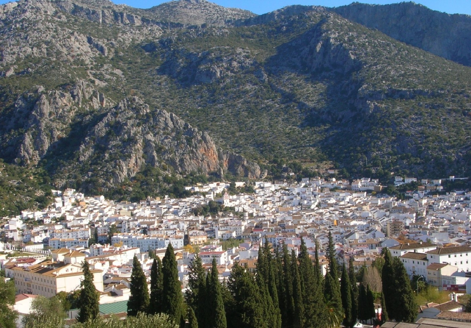 till salu lokal Ubrique Sierra De Cádiz 2