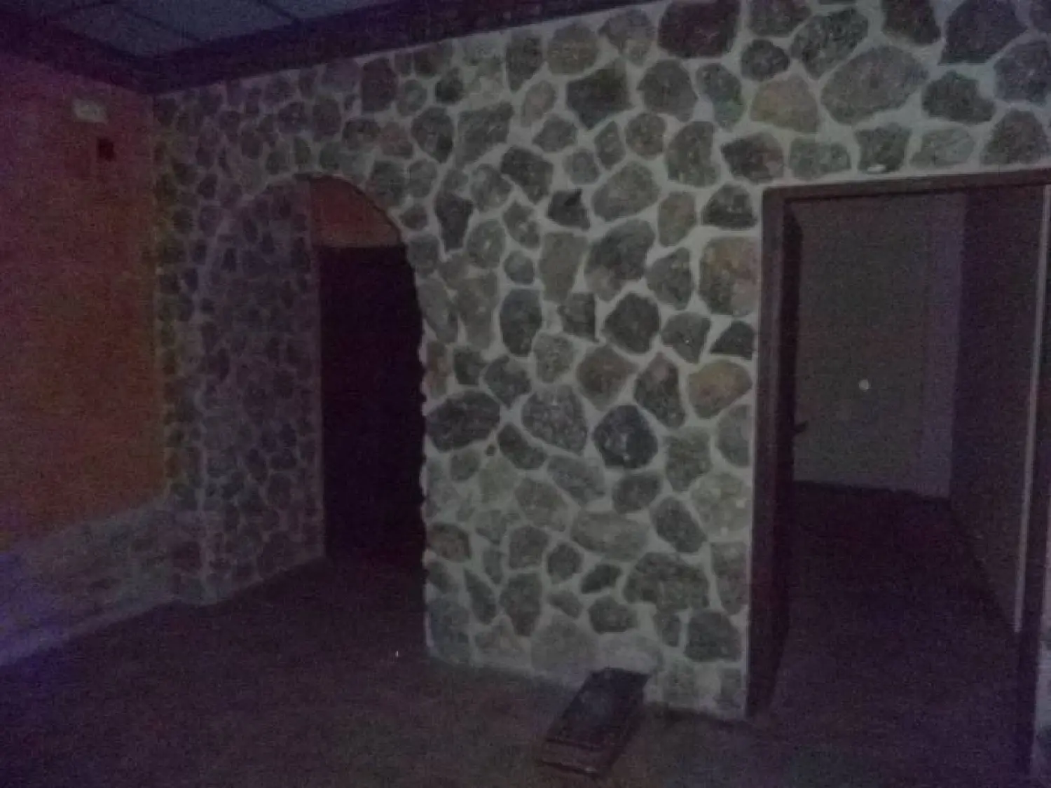  till salu lokal Poblado Calvo Sotelo Campo De Calatrava 4