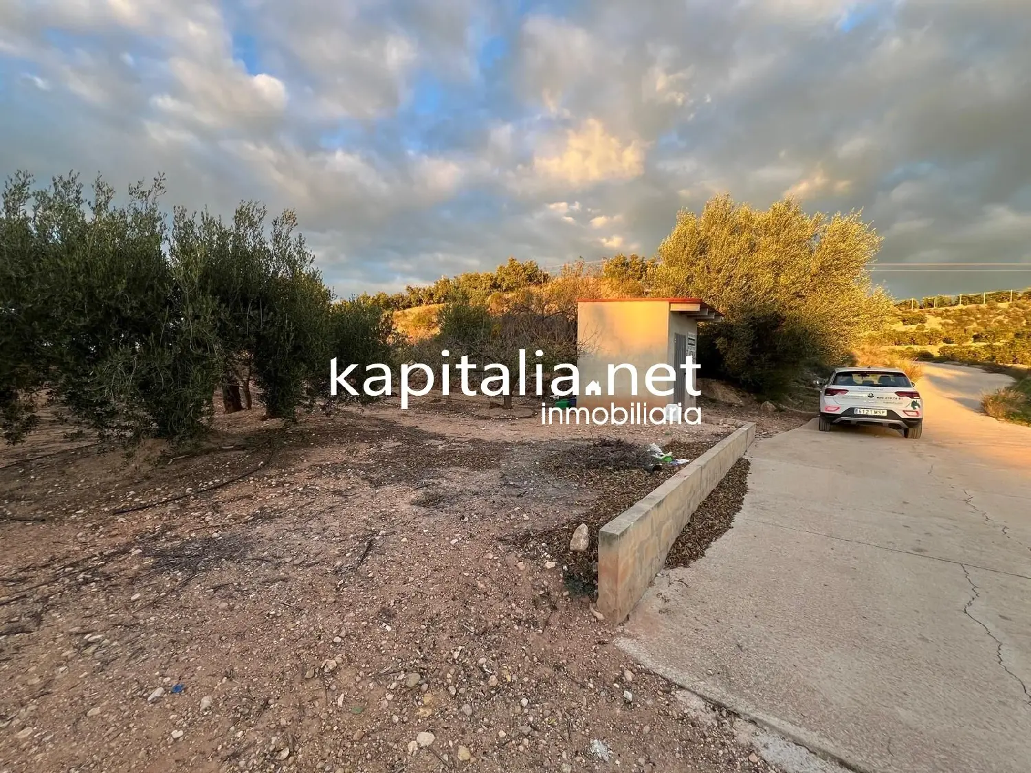  kaufen Gewerberaum Ontinyent Vall D'albaida 1