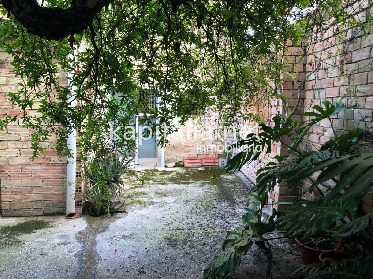  till salu lokal Urbanitzacio El Pilar Vall D'albaida 5