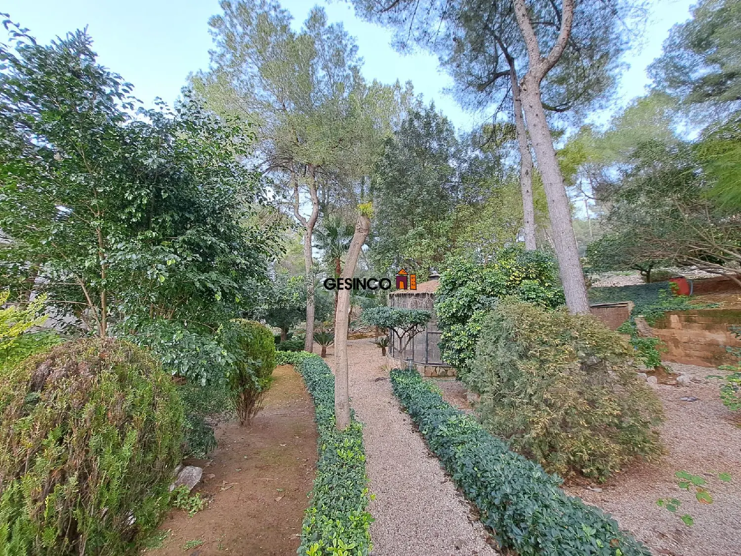  till salu lokal El Realengo Costera (La) 7