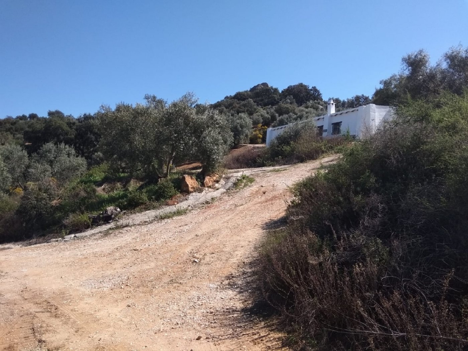 till salu hus på landet Daltmar Garraf 2
