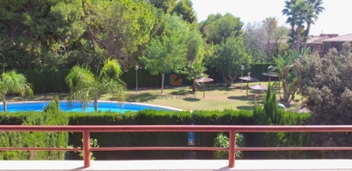El Volaor Alacantí parhus foto 6229135