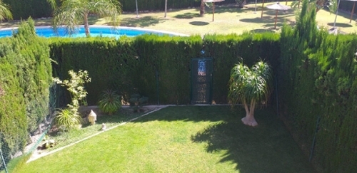 El Volaor Alacantí parhus foto 6227902