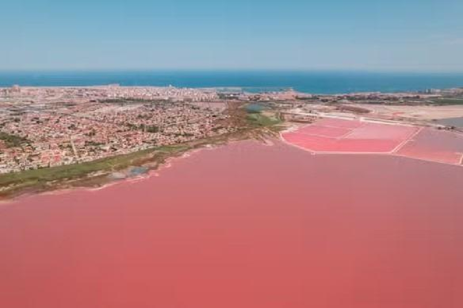  till salu parhus Torrevieja Baix Segura 22