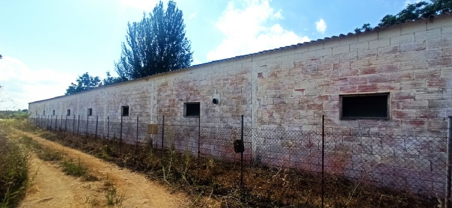 till salu butik Anna Canal De Navarrés 3