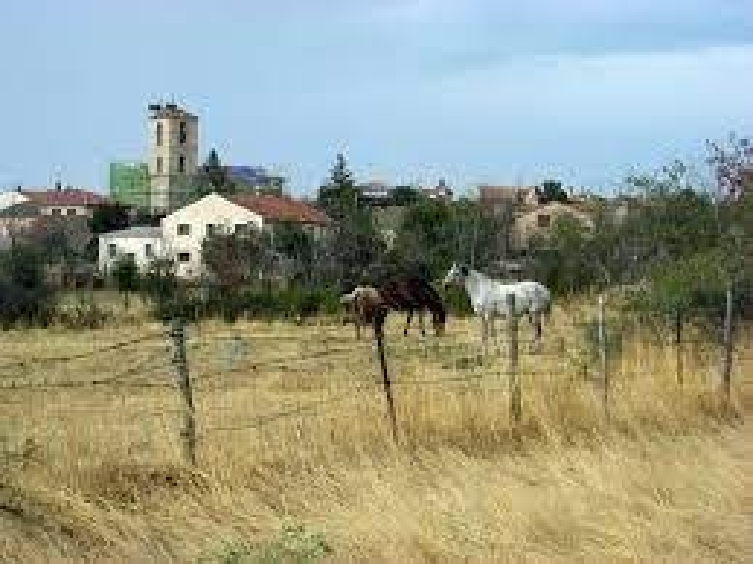  te koop winkel Brieva Segovia Sur 4