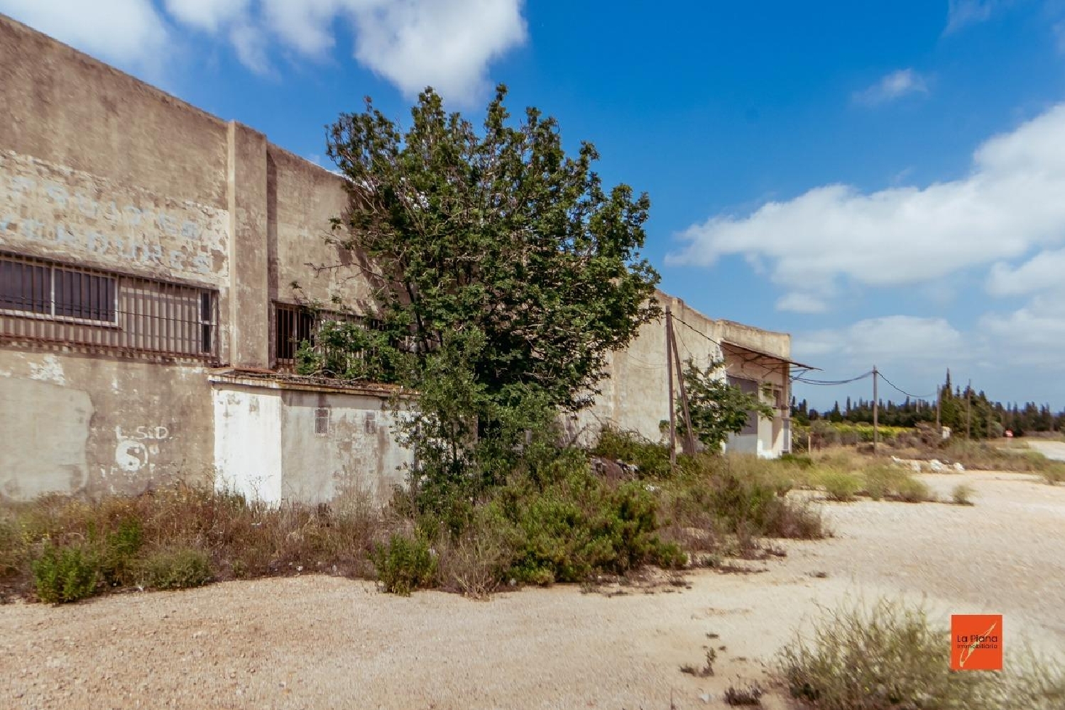  till salu butik Ligallo Del Ganguil Baix Ebre 4