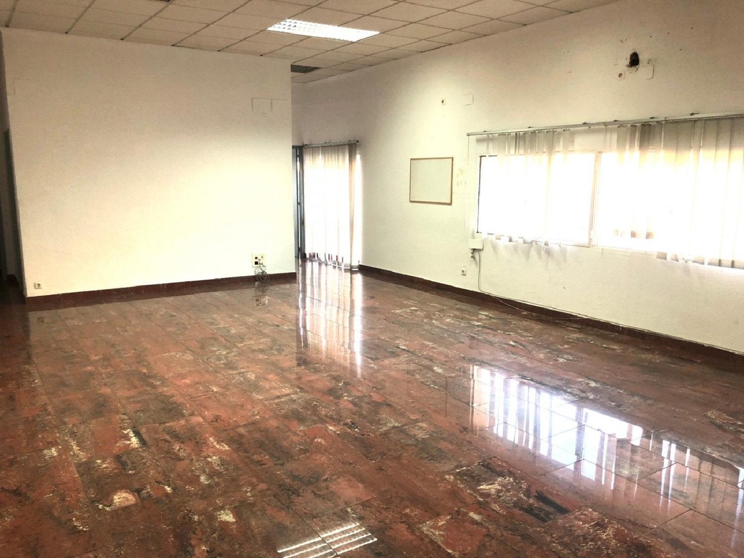  till salu butik Penya Les Aguiles Baix Vinalopó 6