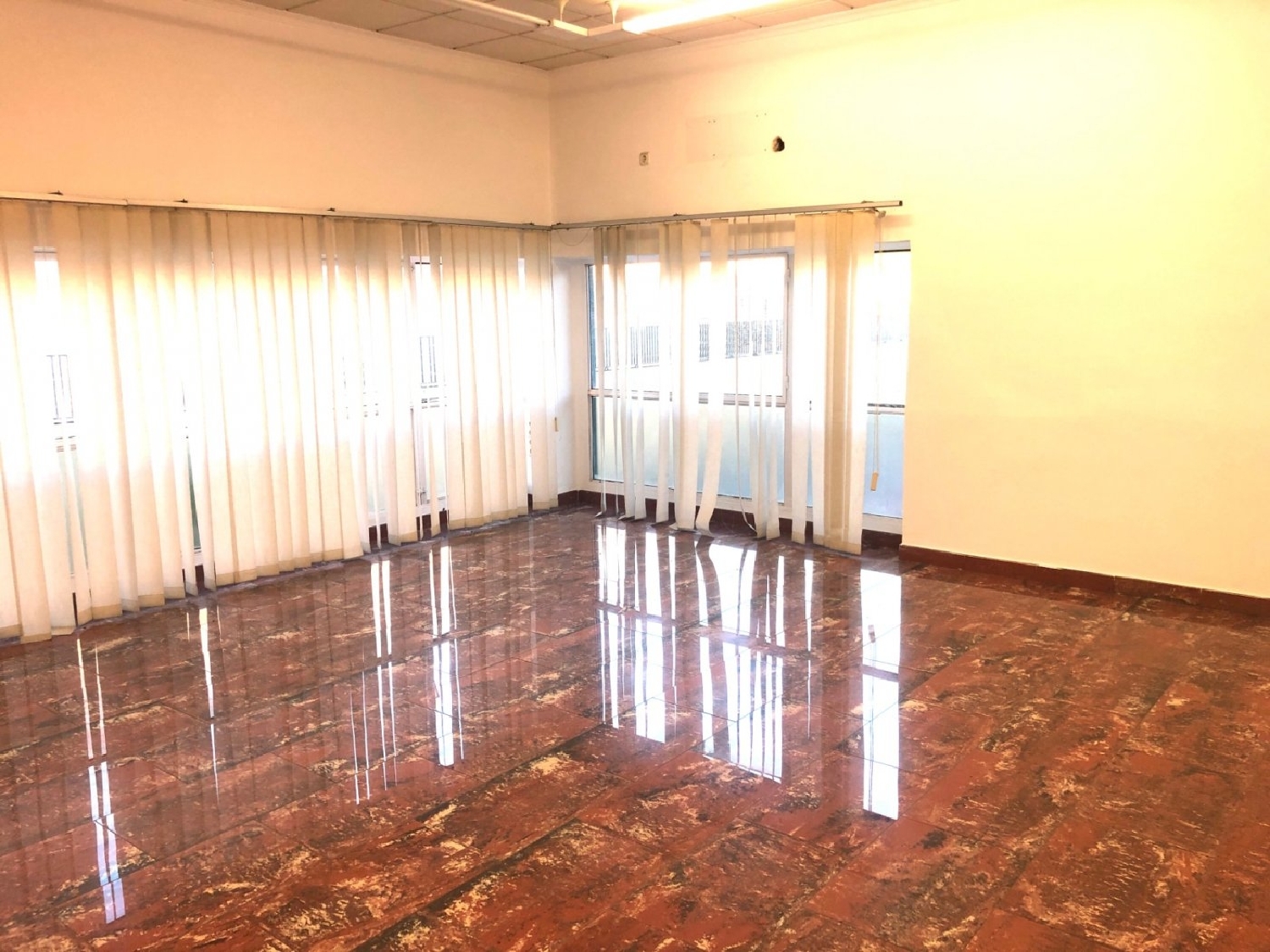  till salu butik Penya Les Aguiles Baix Vinalopó 7