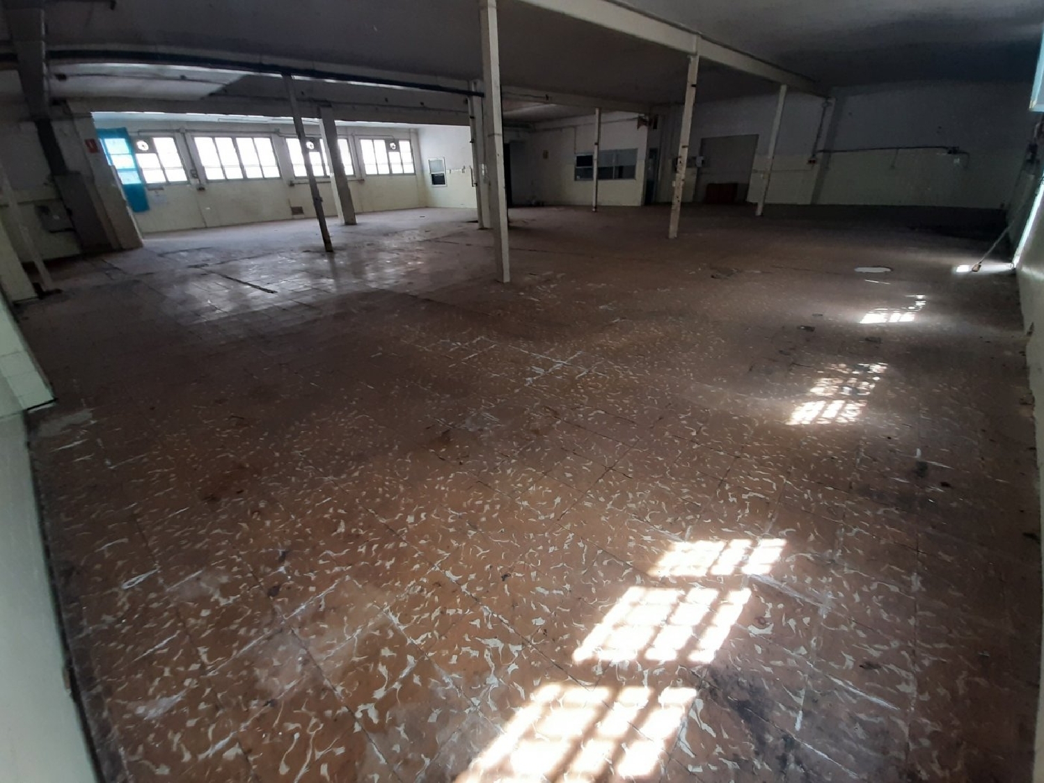  till salu butik Elche Carrús Est Baix Vinalopó 5