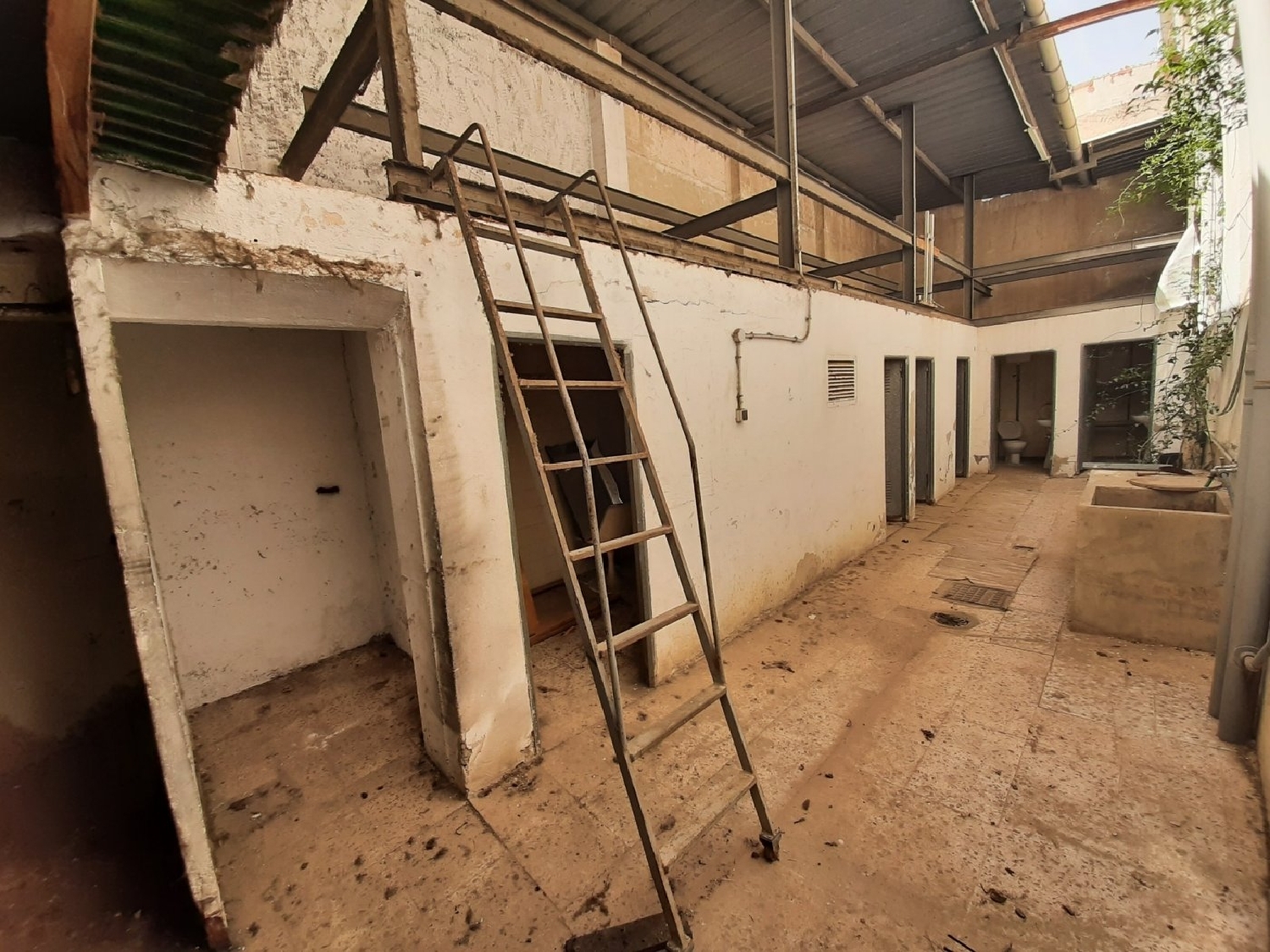  till salu butik Elche Carrús Est Baix Vinalopó 6