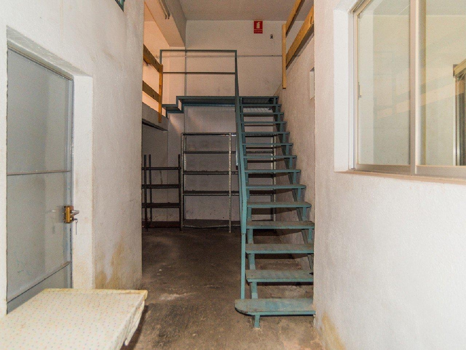  till salu butik Eucaliptus Montsià 5