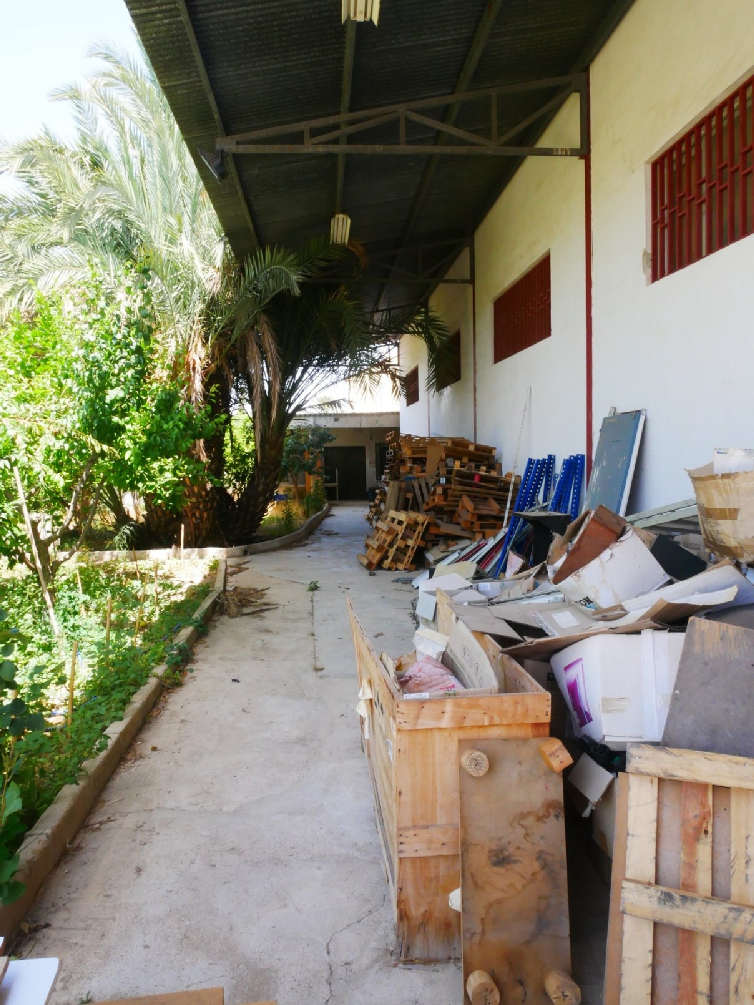  till salu butik Infante Juan Manuel Huerta De Murcia 8