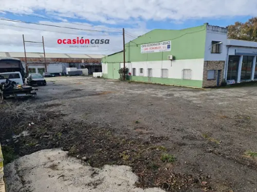 El Calonge Valle Medio Del Guadalquivir butik foto 6199139