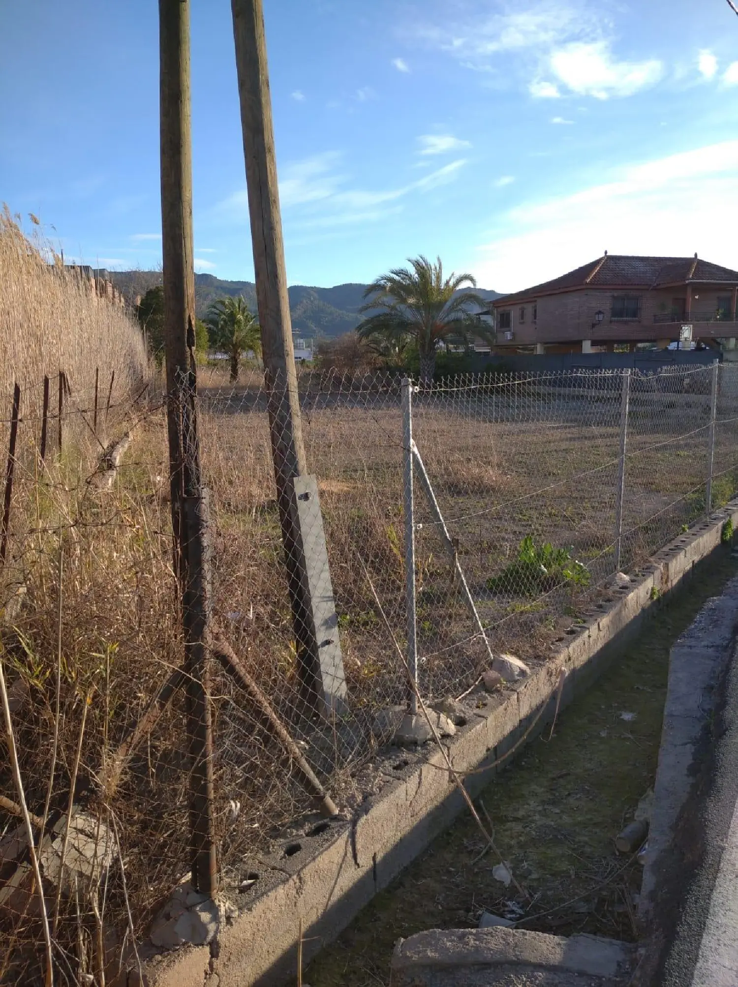 till salu butik Perdiguera Vega Alta Del Segura 2