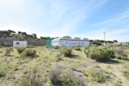 Los Lorentes Bajo Guadalentín butik foto 6260932