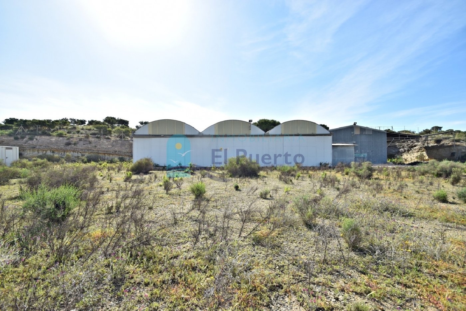 till salu butik Los Lorentes Bajo Guadalentín 3