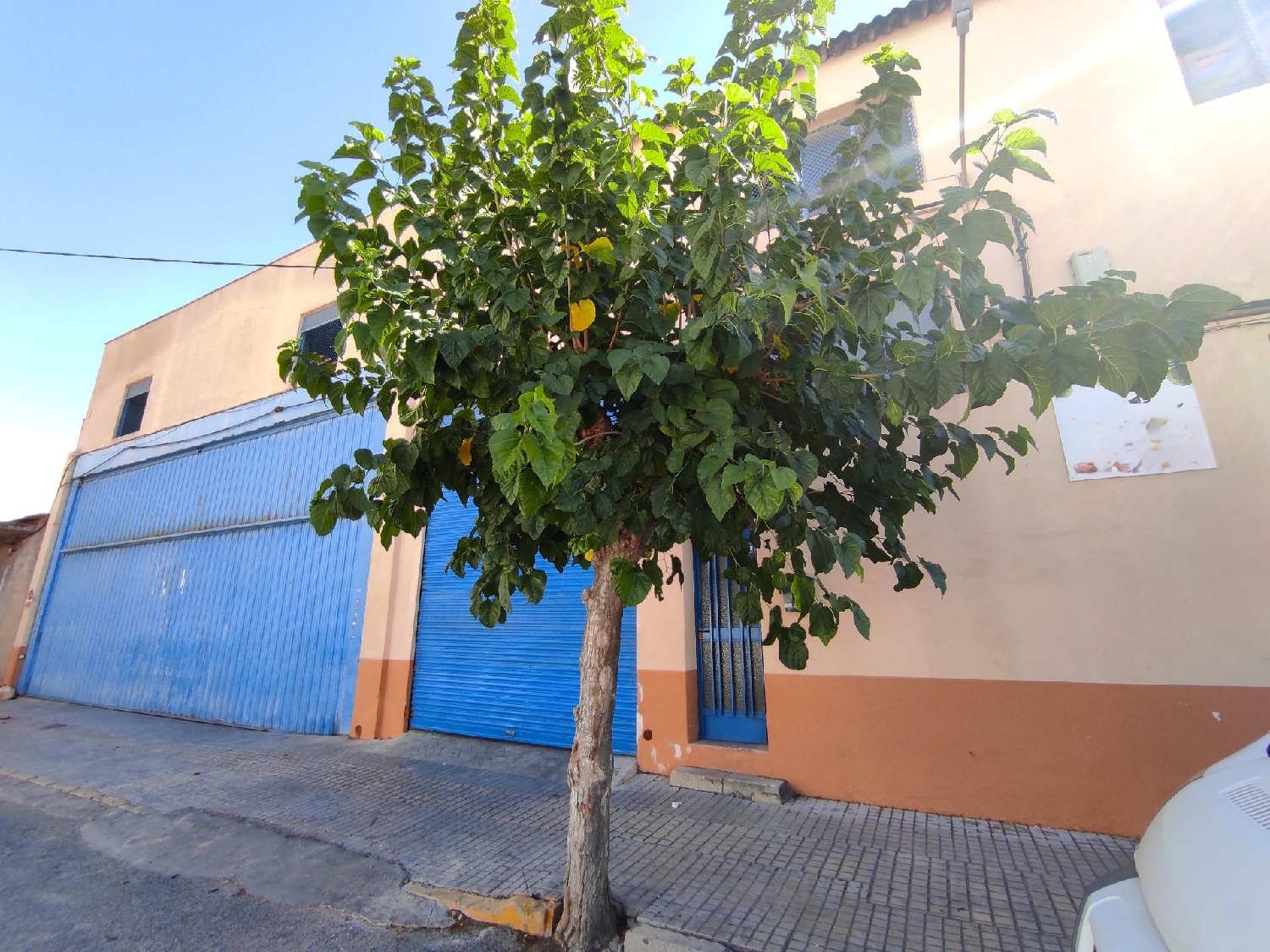 till salu butik Monforte Del Cid Vinalopó Mitjà 2