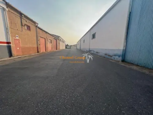 Los Martínez Primer Barrio Baix Segura butik foto 6180910