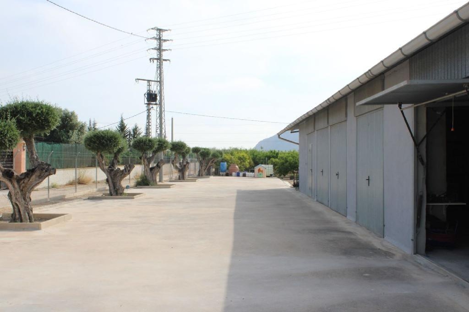  till salu butik San Carlos Baix Segura 7