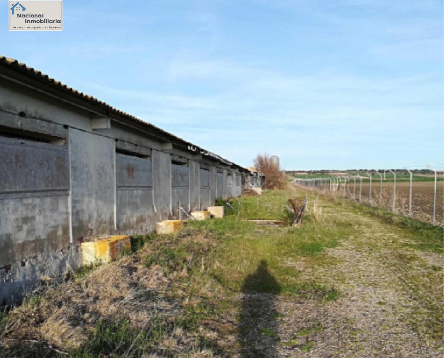  till salu butik Tolocirio Campiña Segoviana 4