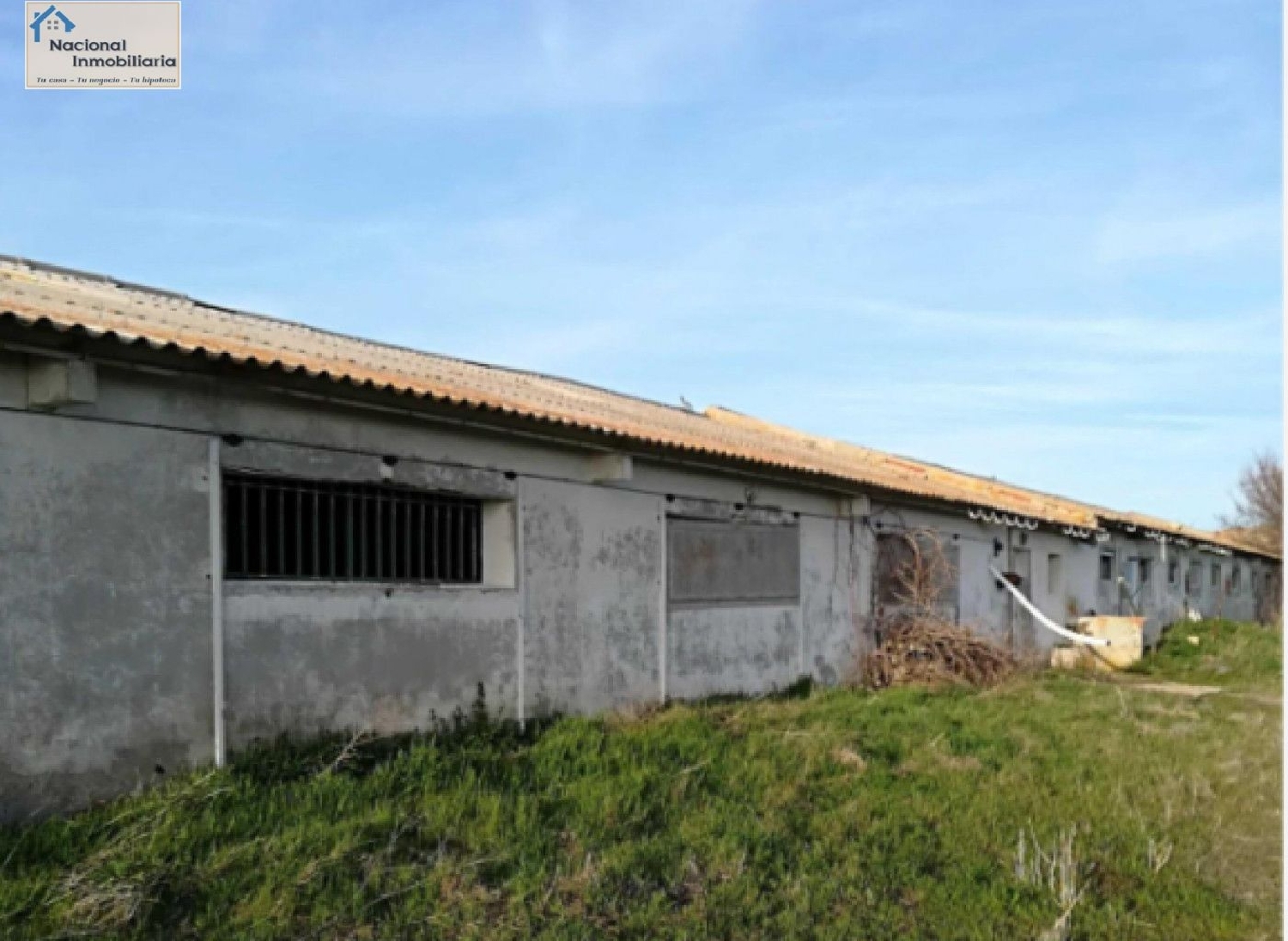  till salu butik Tolocirio Campiña Segoviana 5