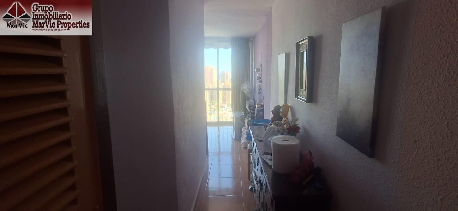  till salu enrumslägenhet Benidorm (Centro) Marina Baixa 5