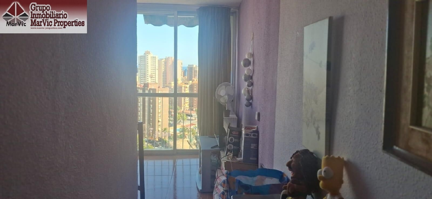till salu enrumslägenhet Benidorm (Centro) Marina Baixa 2