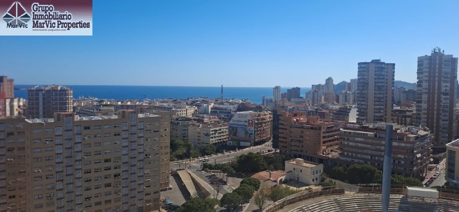  till salu enrumslägenhet Benidorm (Centro) Marina Baixa 1