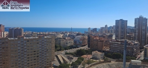 Benidorm (Centro) Marina Baixa enrumslägenhet foto 6225658