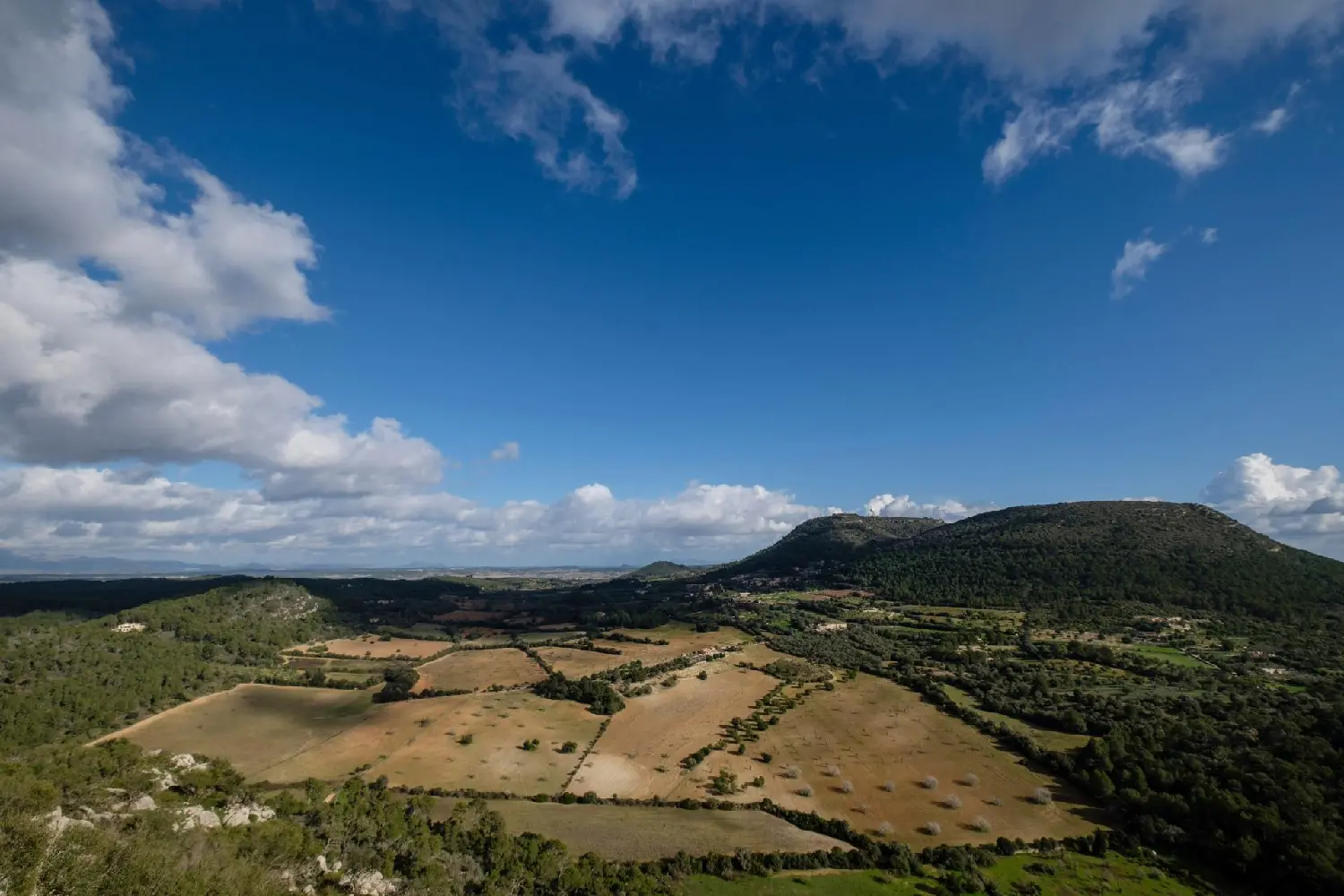  till salu enrumslägenhet Cales De Mallorca Llevant 1