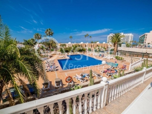 Las Rosas Zona Sur Einzimmerwohnung Bild 6227520
