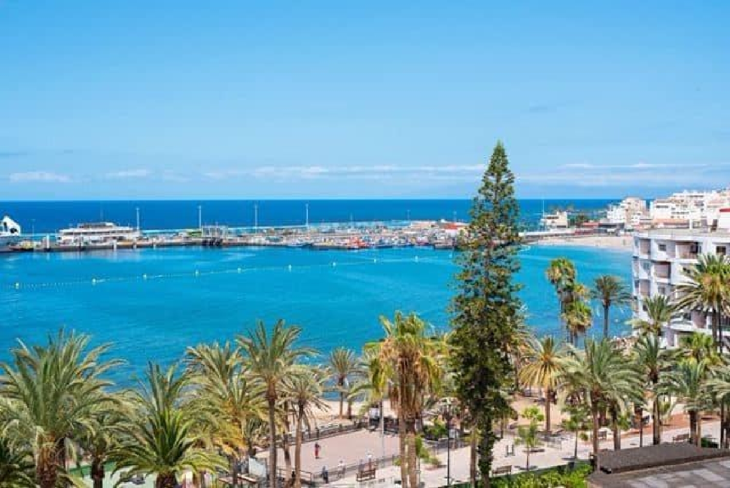  till salu enrumslägenhet Playa De Las Americas Zona Sur 5