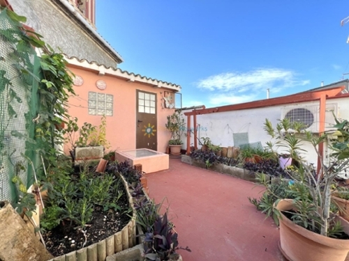 Bufali Vall D''albaida radhus foto 6219021