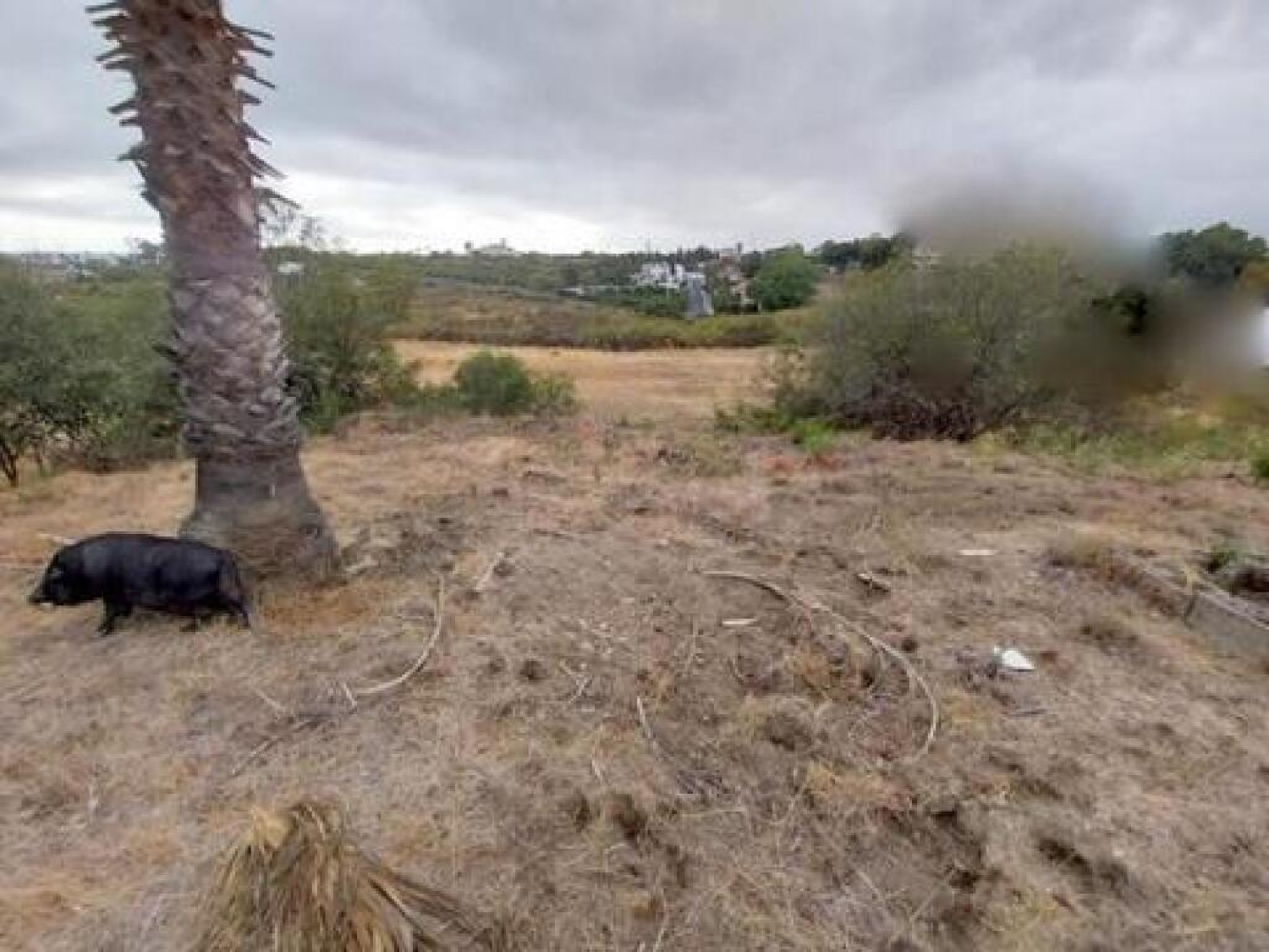  till salu radhus Guadalmansa Costa Del Sol Occidental 26