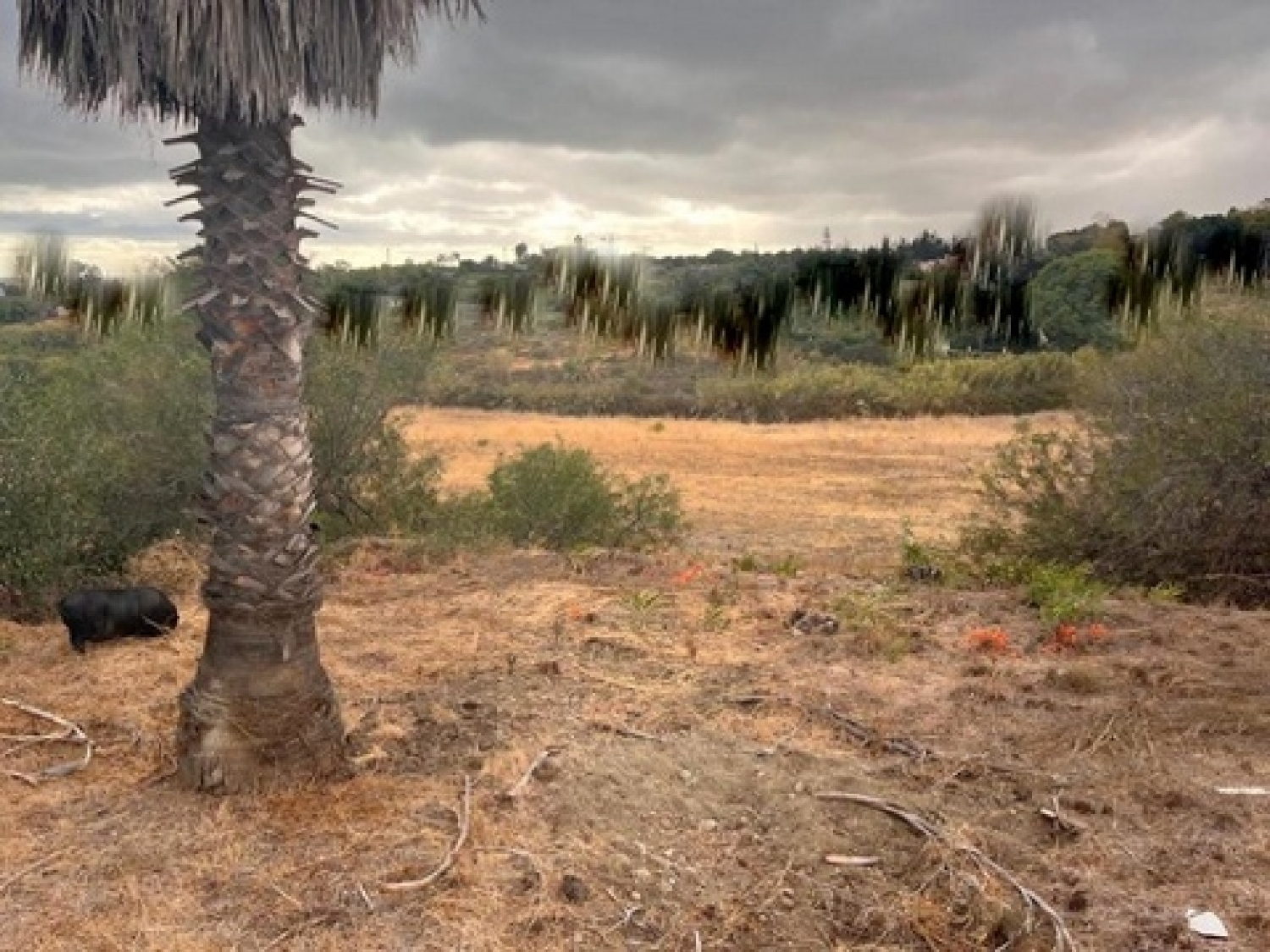  till salu radhus Guadalmansa Costa Del Sol Occidental 23