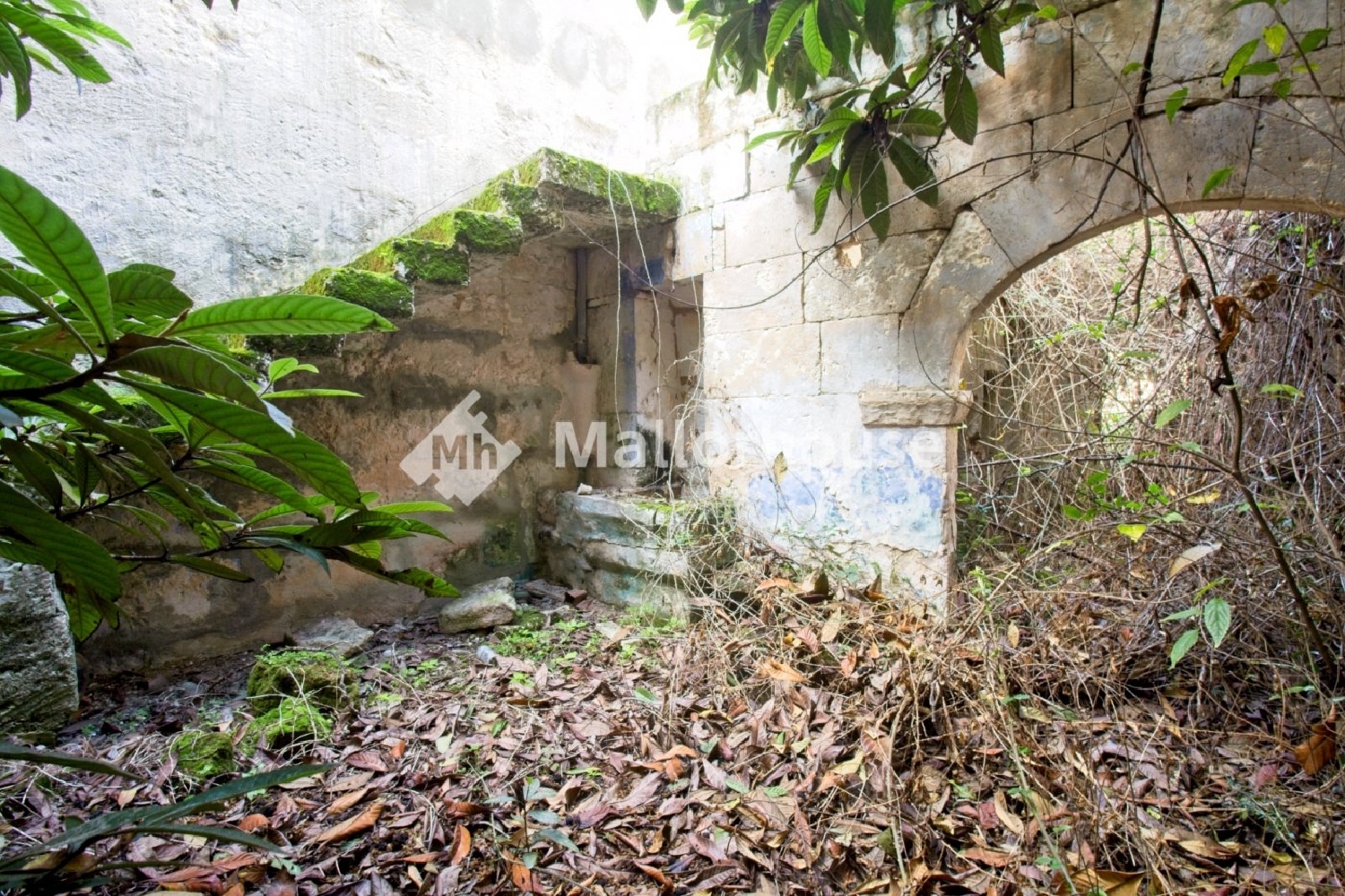  kaufen Reihenhaus Muro Nord 7