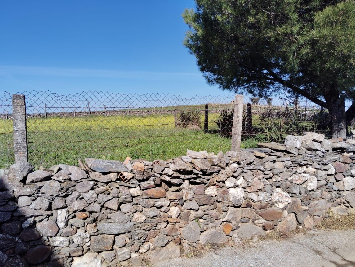  till salu radhus Segovia De Sacedón Campo De Salamanca 10