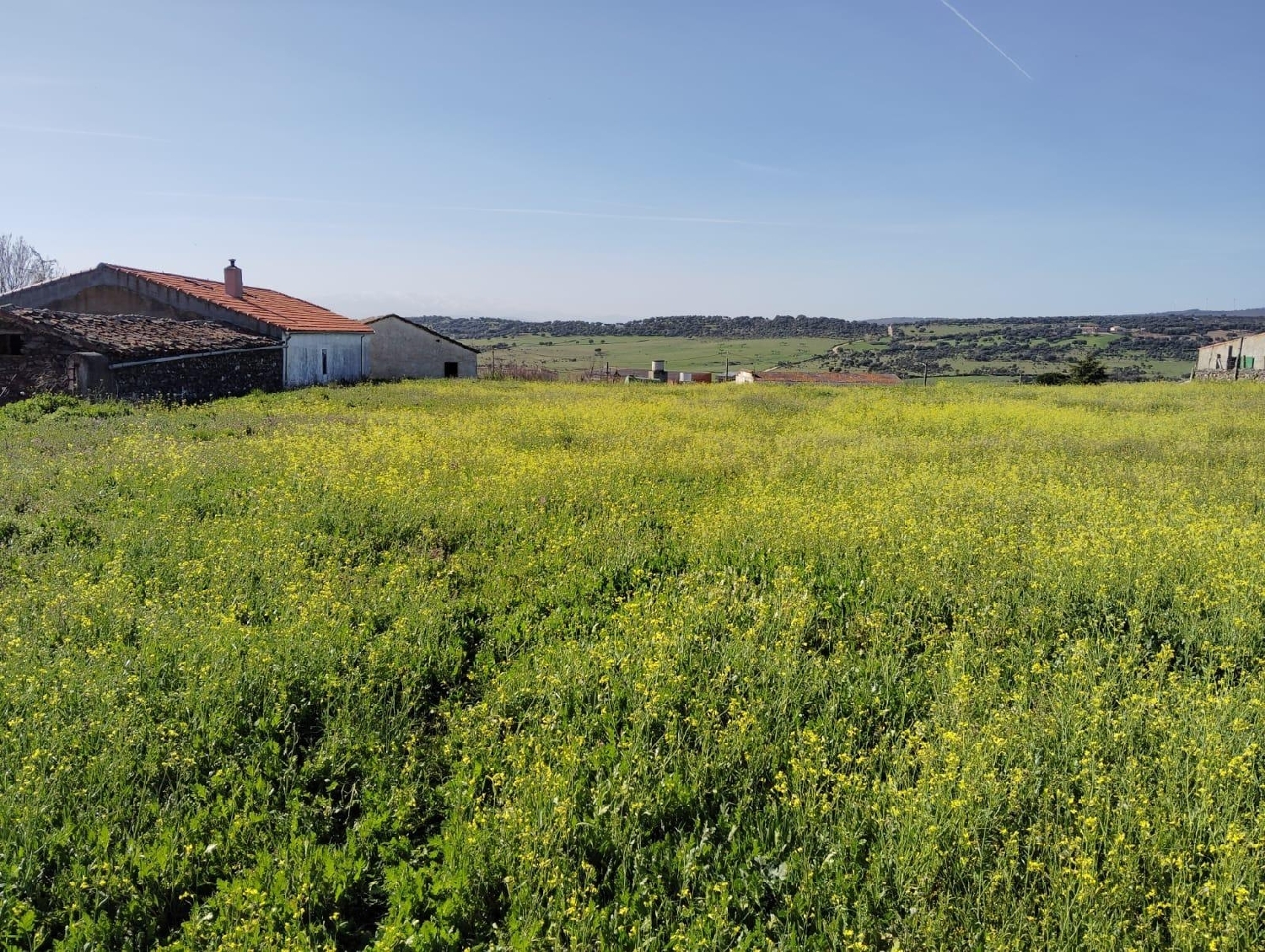  till salu radhus Segovia De Sacedón Campo De Salamanca 14